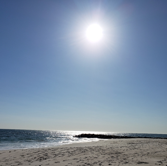 Meet your Posher, Venus - Picture 2 of 9